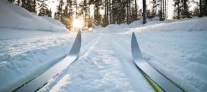 Cross Country Skiing at Theodore Wirth @ Theodore Wirth Park Loppet Foundation